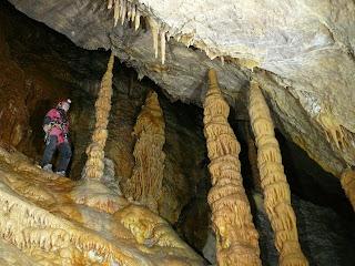 Reconocimiento Reserva de la Biosfera al Compromiso Medioambiental al G.E.V.