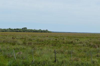 Parque Esteros del Ibera, portal Carambola.