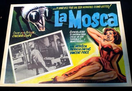 «La Mosca» o la crítica accidental al especismo