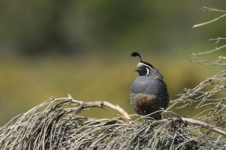 Lo más destacado de 2021