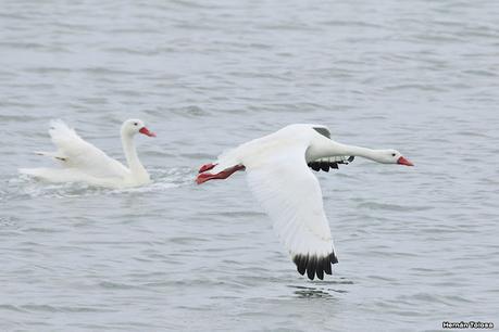Lo más destacado de 2021