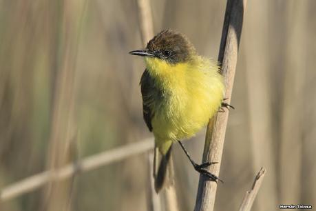 Lo más destacado de 2021