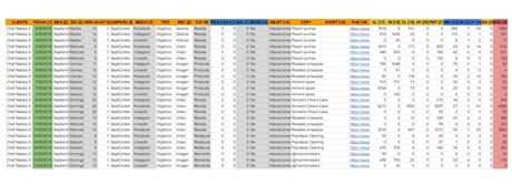 Informe para redes sociales | ¿cómo exportar en PDF? matriz de contenidos para redes sociales