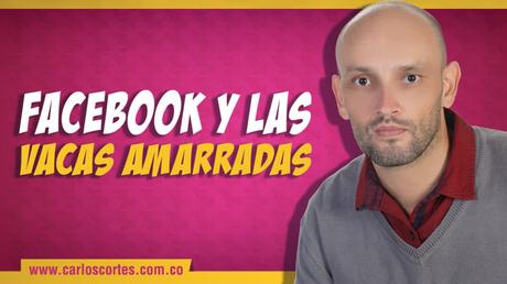 Facebook y las vacas amarradas