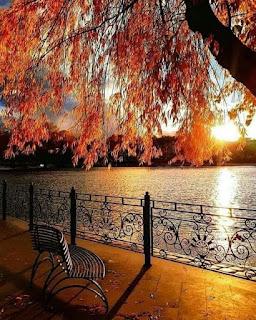 4.873 - VUELAN LAS HOJAS...