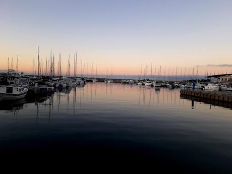 Sostenibilidad y Sentido Común