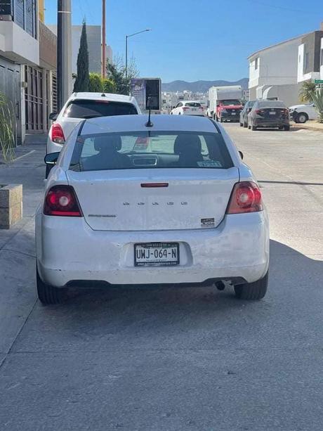 (Video) Atropellan intencionalmente a perro comunitario en Villa Magna