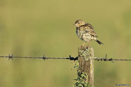 Lo más destacado de 2021