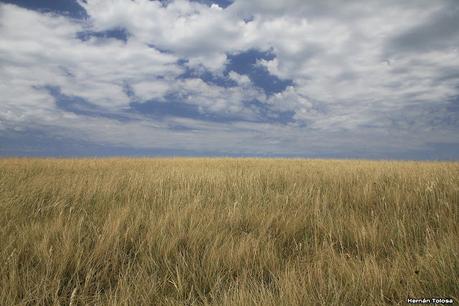 Lo más destacado de 2021