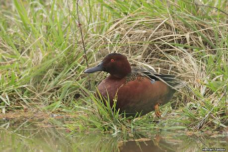 Lo más destacado de 2021