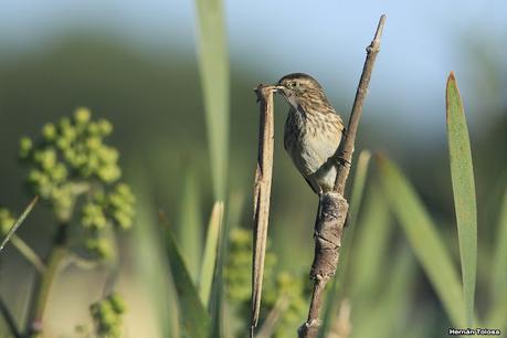 Lo más destacado de 2021