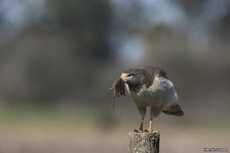 Lo más destacado de 2021