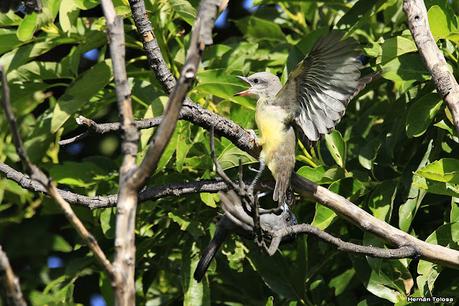 Lo más destacado de 2021