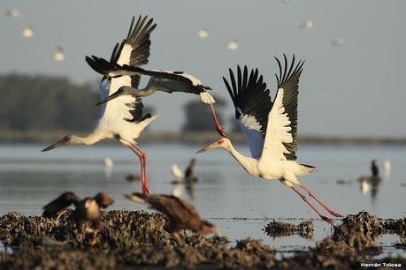 Lo más destacado de 2021