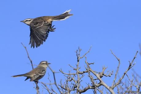 Lo más destacado de 2021
