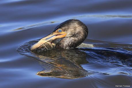 Lo más destacado de 2021