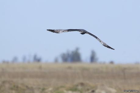 Lo más destacado de 2021