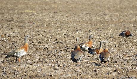 Lo más destacado de 2021