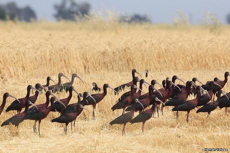Lo más destacado de 2021