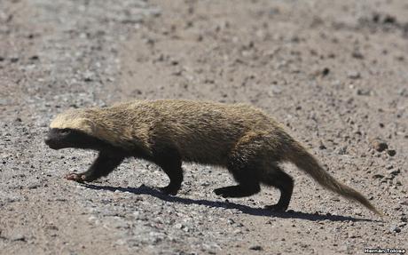 Lo más destacado de 2021