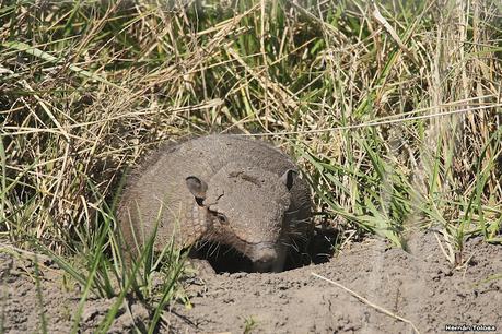 Lo más destacado de 2021