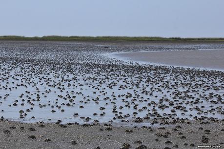 Lo más destacado de 2021