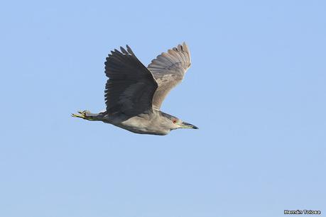 Lo más destacado de 2021