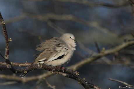 Lo más destacado de 2021