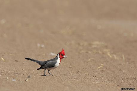 Lo más destacado de 2021