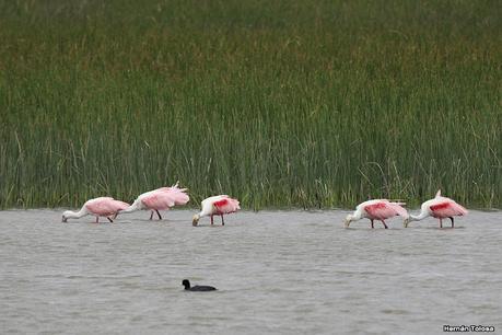Lo más destacado de 2021