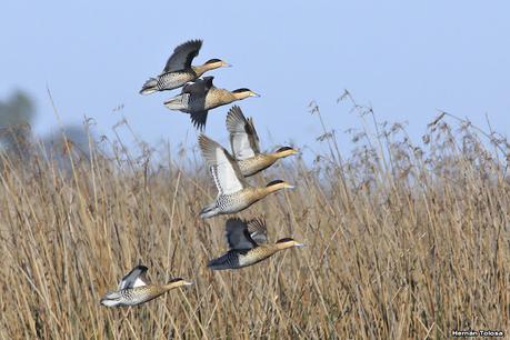 Lo más destacado de 2021