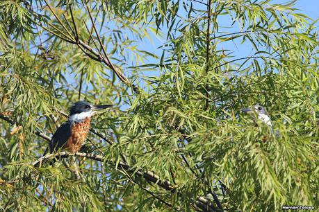 Lo más destacado de 2021