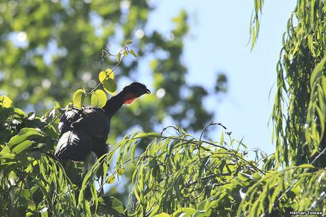 Lo más destacado de 2021