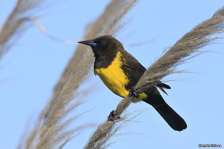 Lo más destacado de 2021