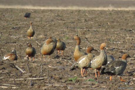 Lo más destacado de 2021