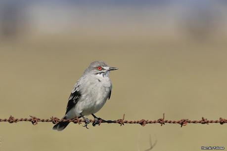 Lo más destacado de 2021