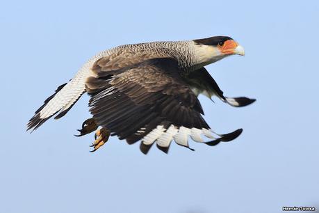 Lo más destacado de 2021