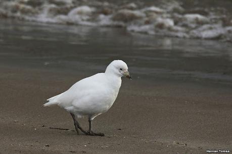 Lo más destacado de 2021