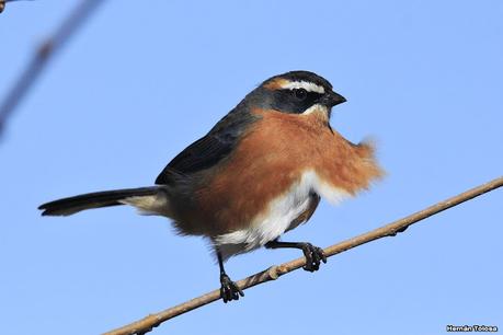 Lo más destacado de 2021