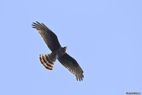 Lo más destacado de 2021