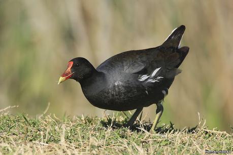 Lo más destacado de 2021