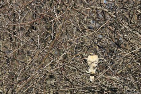 Lo más destacado de 2021