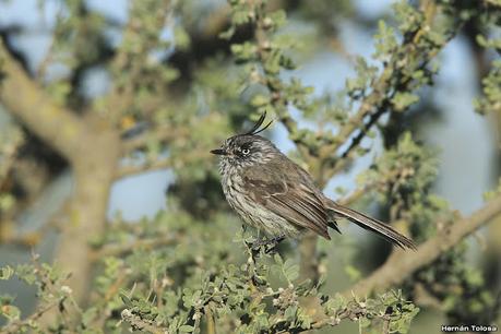 Lo más destacado de 2021