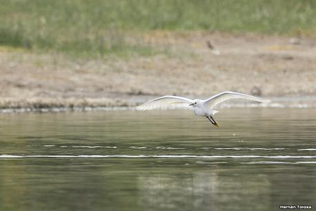 Lo más destacado de 2021