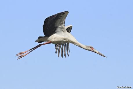 Lo más destacado de 2021