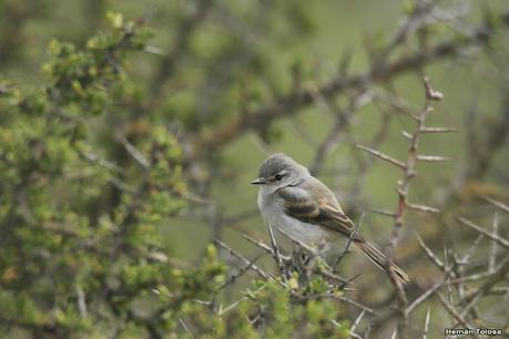 Lo más destacado de 2021