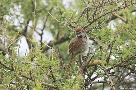 Lo más destacado de 2021
