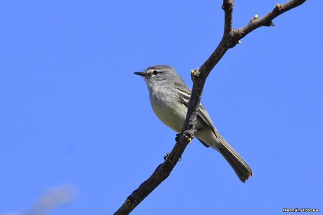 Lo más destacado de 2021