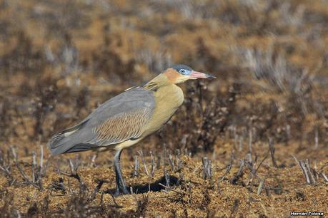 Lo más destacado de 2021