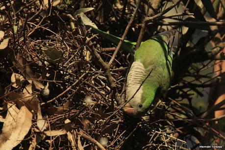 Lo más destacado de 2021